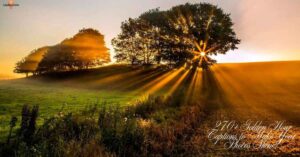 270+ Golden Hour Captions to Make Your Photos Shine!
