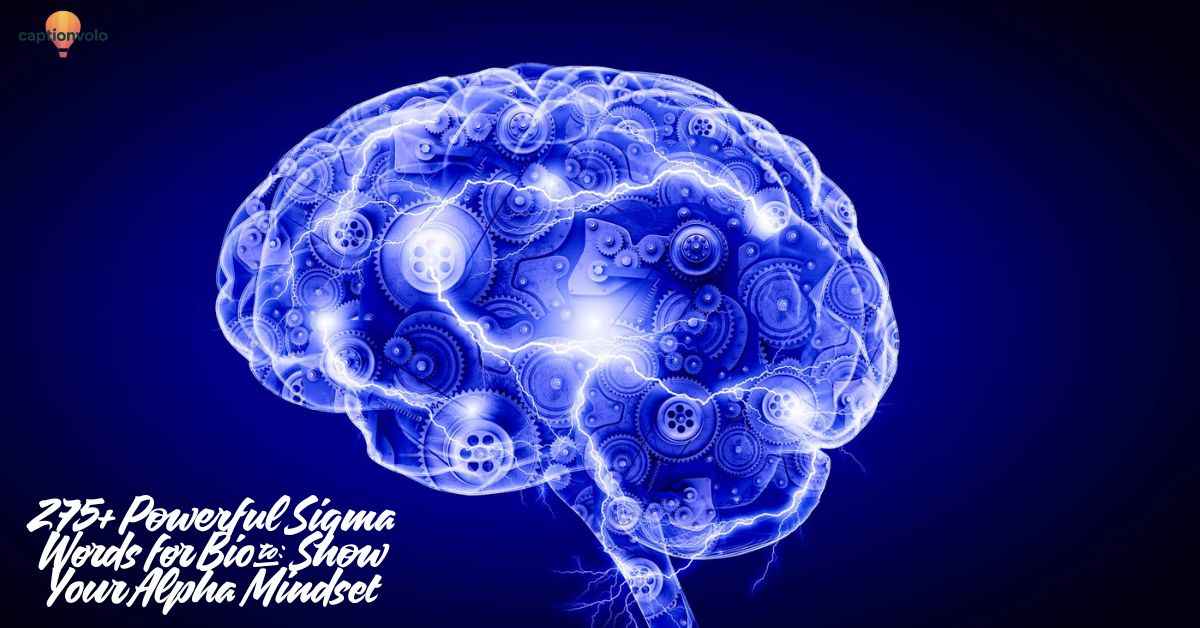 275+ Powerful Sigma Words for Bio to Show Your Alpha Mindset