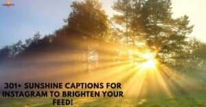 301+ Sunshine Captions for Instagram to Brighten Your Feed!