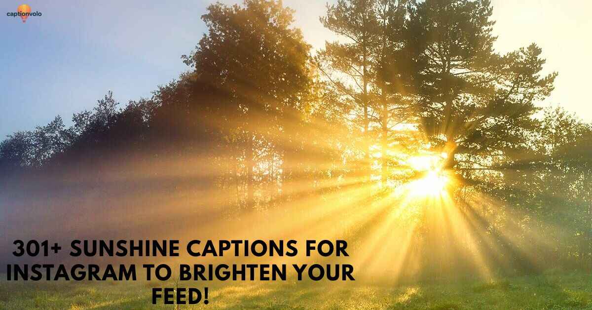 301+ Sunshine Captions for Instagram to Brighten Your Feed!