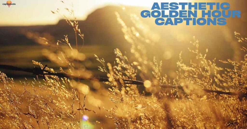 Aesthetic Golden Hour Captions