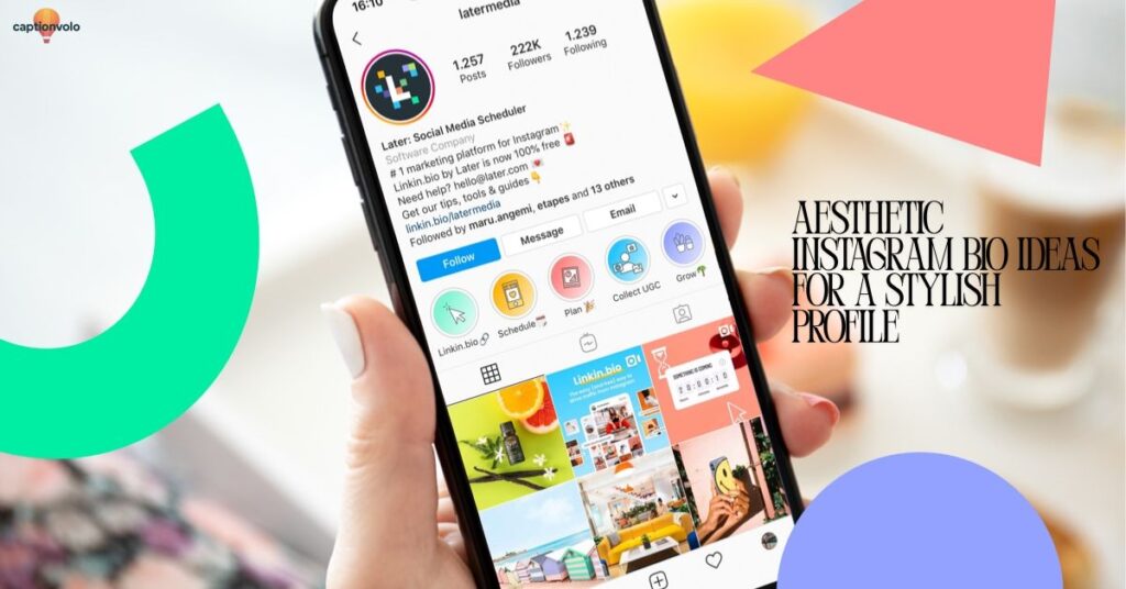 Instagram-Bio