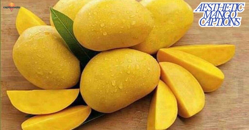 Aesthetic Mango Captions