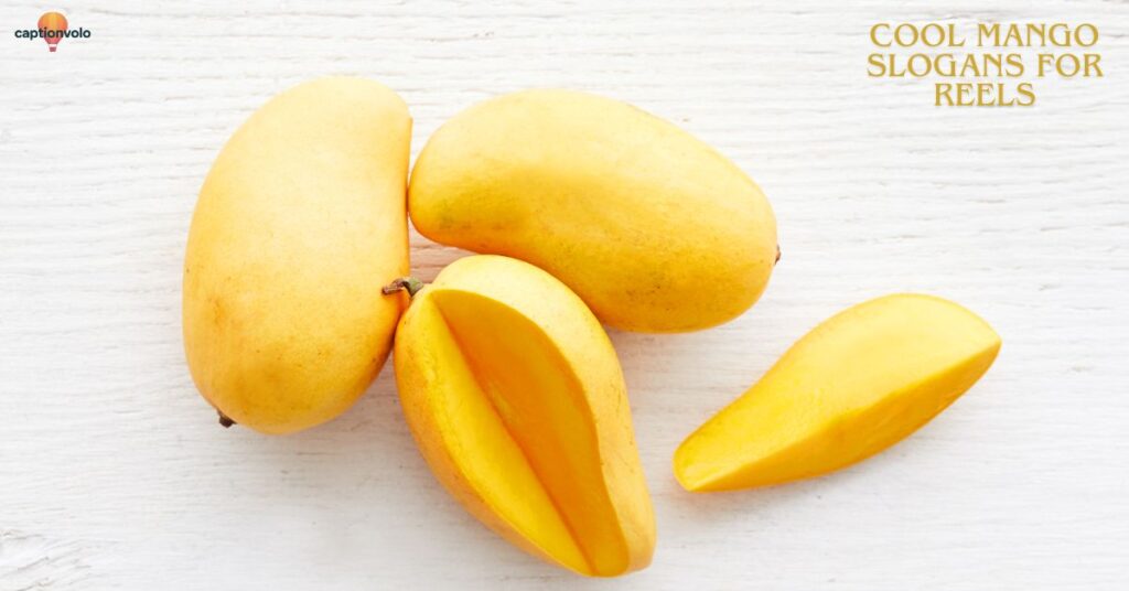 Cool Mango Slogans for Reels