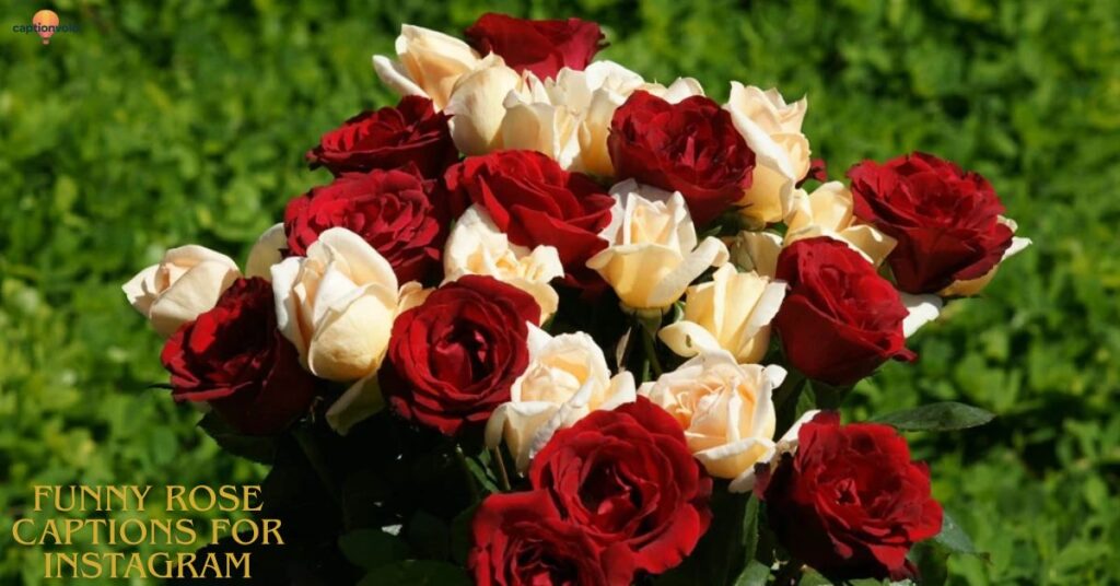 Funny Rose Captions for Instagram
