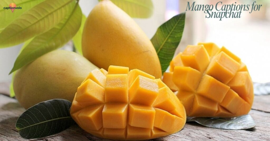 Mango-Captions