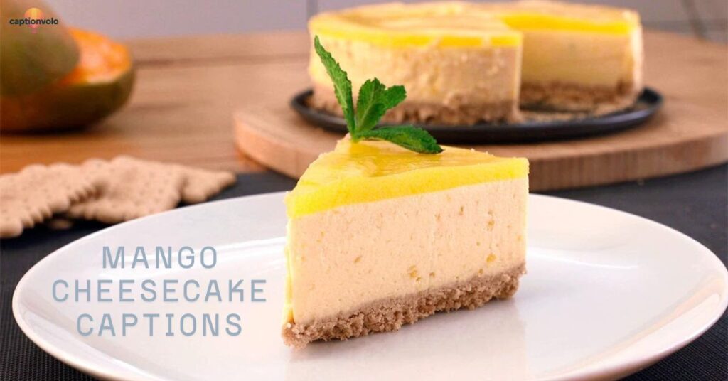 Mango Cheesecake Captions