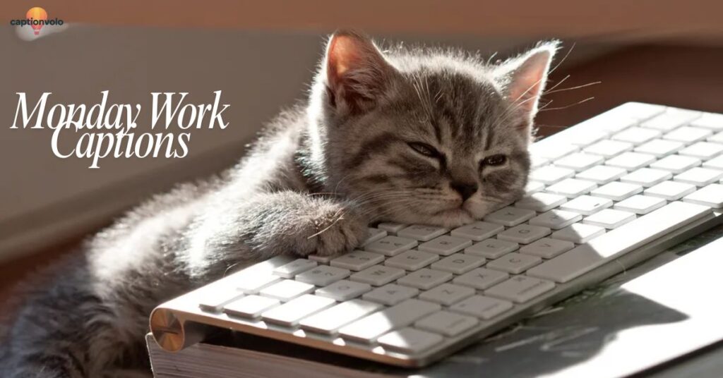 Monday Work Captions