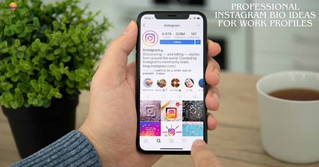 Professional Instagram Bio Ideas for Work Profiles