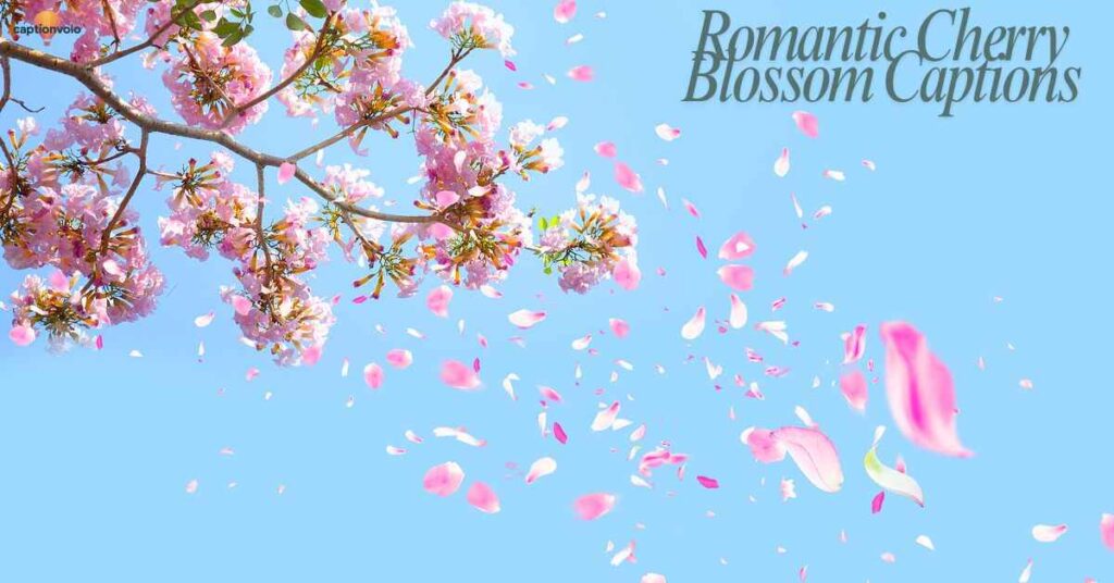 Romantic Cherry Blossom Captions