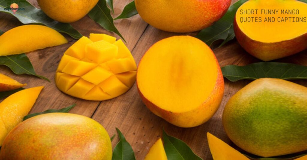 Short Funny Mango Quotes and Captions