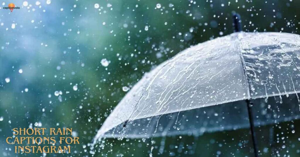 Rain