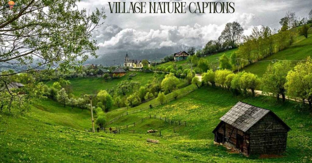 Village Nature Captions