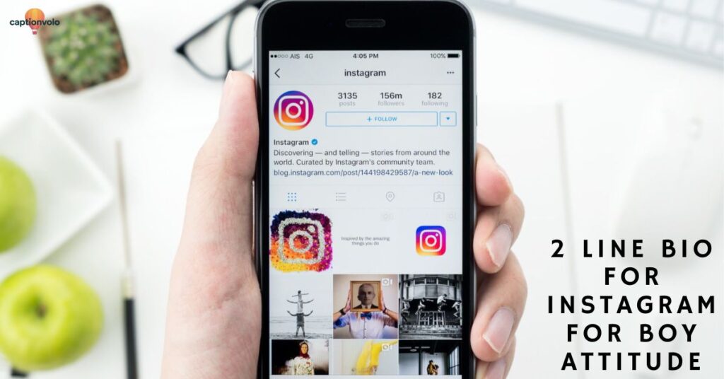 2 line Bio for Instagram for Boy Attitude