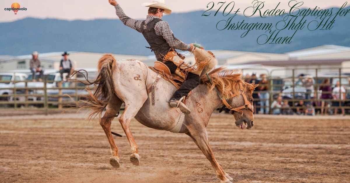 270+ Rodeo Captions for Instagram That Hit Hard (