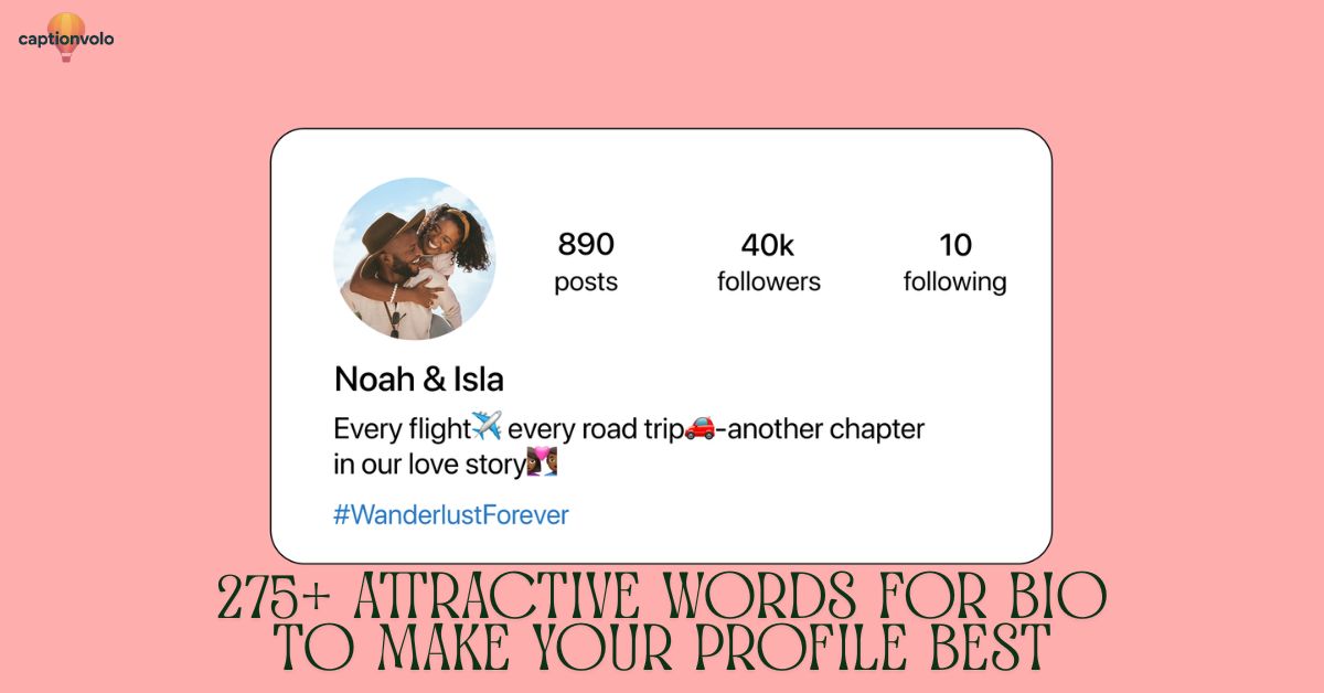 275+ Attractive Words for Bio to Make Your Profile Best