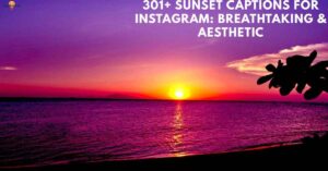 301+ Sunset Captions for Instagram Breathtaking & Aesthetic