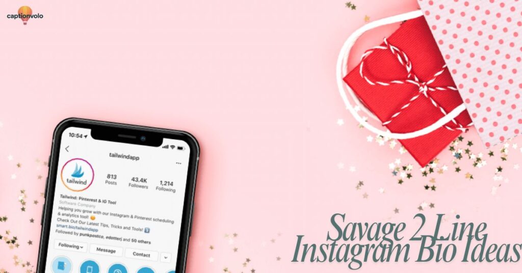 Savage 2 Line Instagram Bio Ideas