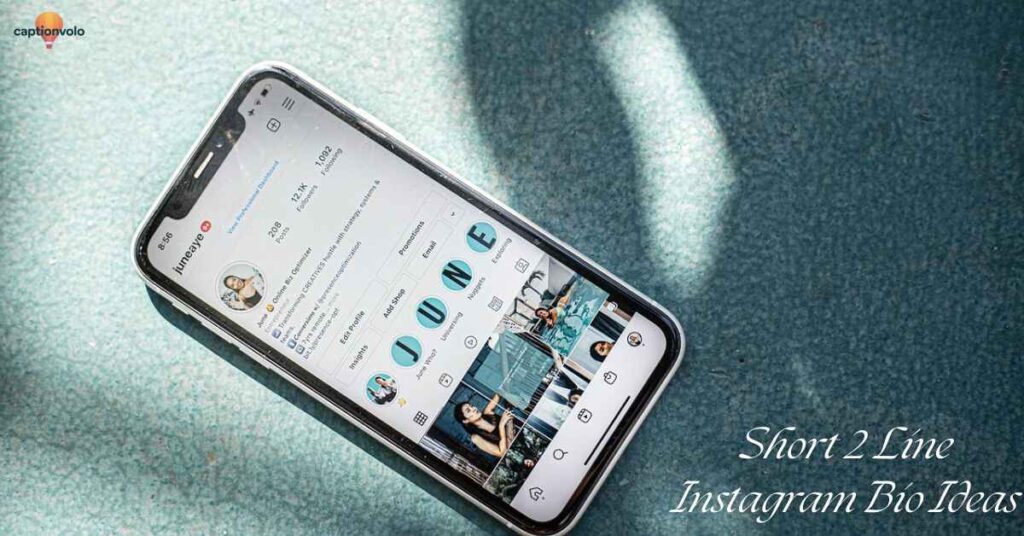 Short 2 Line Instagram Bio Ideas