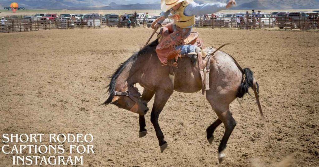 Short Rodeo Captions for Instagram
